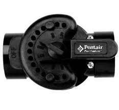 Pentair 2-Port CPVC Diverter Valve 2-2.5 Inch | 263027